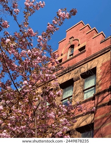 Similar – Image, Stock Photo Old pink gable front of a residential building with windows and photovoltaic panels