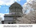 Cherry trees blossoms in front of General Grant National Memorial in Morningside Heights, Manhattan, New York City