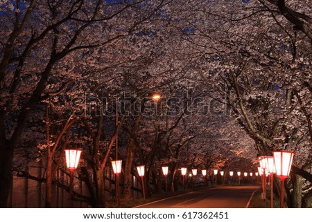 Cherry Tunnel