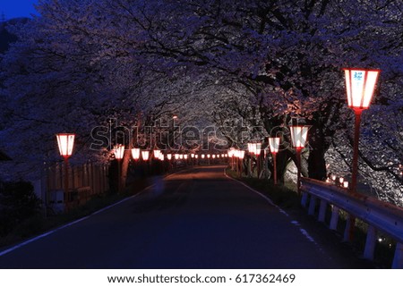 Cherry Tunnel