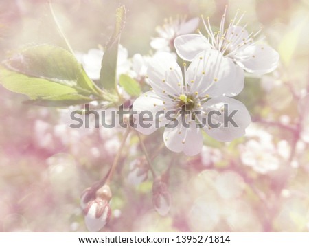 Similar – Image, Stock Photo Zero eight fifteen | typical spring picture