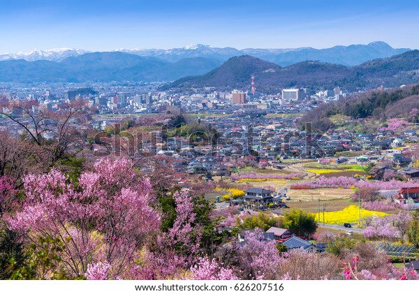 日本 東北 福島 花見山公園 福島市の町並みには桜 桜 や多種の花が並ぶ その公園はとても有名な桜の眺めのスポットです の写真素材 今すぐ編集