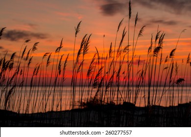 Chesapeake Bay Sunrise In Maryland