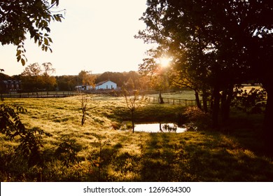 Cheshire Autumn Countryside 