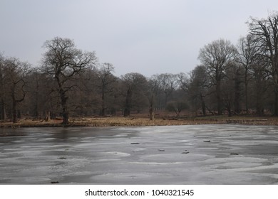 Cheshire Winter Landscape