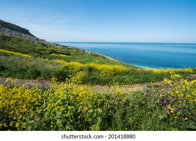 Chesil Beach Dorset