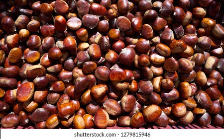 Chesnut High Res Stock Images Shutterstock