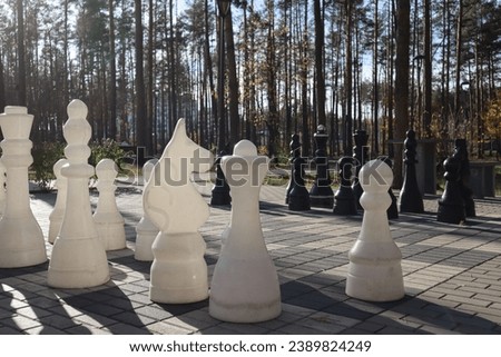 Chess board in the forest park. Big figures of chess.