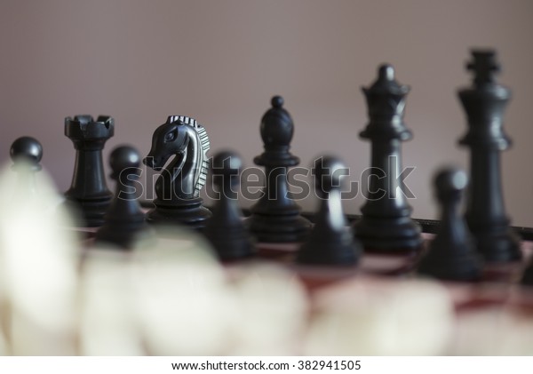 Chess Game Sport Knight Pawn King Stock Photo Edit Now 382941505