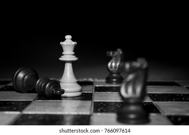 Chess Photographed On Chess Board Stock Photo (Edit Now) 740925037