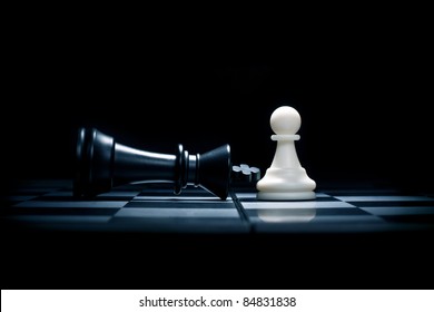 Chessmen. A Pawn And The Won King