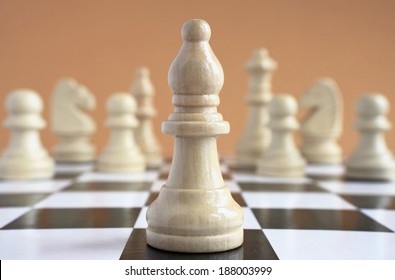 Chessmen white elephant on background white chess pieces.