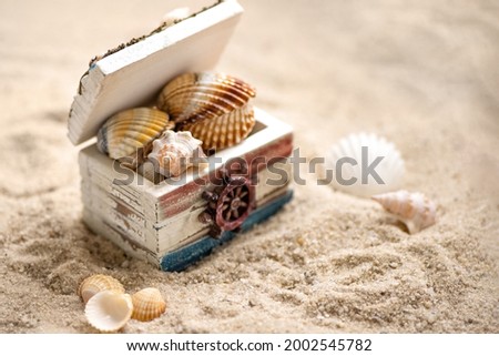 Chest filled with sea shells on sandy beach