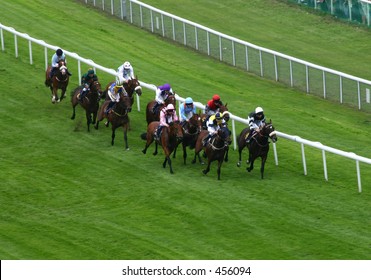 Chester Races 31st July 2005