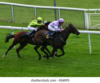 Chester Races 31st July 2005