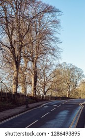 Chester Street In Day Time Winter Photo