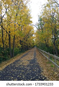 Chester Valley Trail Malvern Pennsylvania