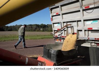 CHESTERFIELD TOWNSHIP, NEW JERSEY / USA - OCTOBER 18, 2018: A Farmer Walks Past As Harvested Soybeans Are Sent To A Grain Bin On His Farm In Chesterfield Township, New Jersey.