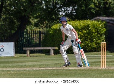 186 Junior cricket Images, Stock Photos & Vectors | Shutterstock