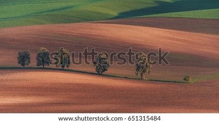 Similar – Image, Stock Photo from summer. Avenue Field