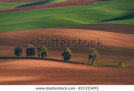 Similar – Image, Stock Photo from summer. Avenue Field