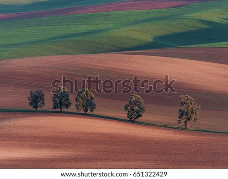 Similar – Image, Stock Photo from summer. Avenue Field