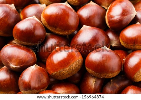 Chestnut close up shoot