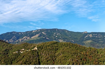  Chestnut Forest And Village In Corsica