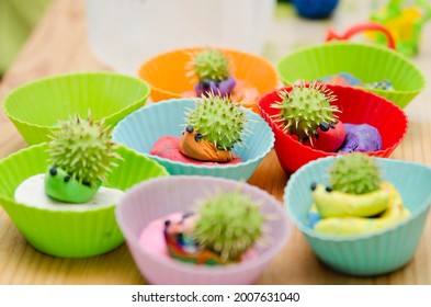 Chestnut Fruit Hedgehog Family In Silicon Backing Cups. Toy Animal Made From Plasticine And Real Not Yet Mature Chestnut. Contest Of Autumn Harvest Festival In Kindergarten.  