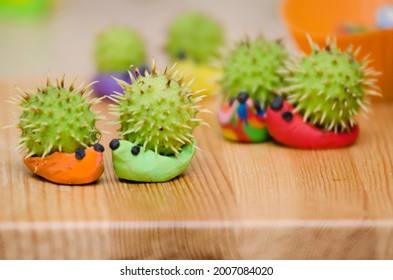 Chestnut Fruit Hedgehog Family. Toy Animal Made From Play-dough And Real Chestnut. Contest Of Autumn Harvest Festival In Kindergarten.  