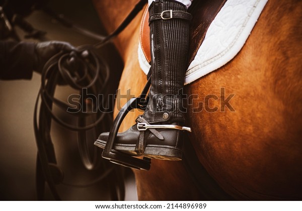  The chestnut horse is wearing horse ammunition -\
a stirrup, a brown old saddle, a white saddlecloth, a bridle, and a\
rider in black boots is sitting in the saddle. Horse riding.\
Equestrian sports.