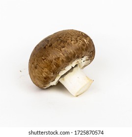 Chestnut Mushroom Isolated On White Background