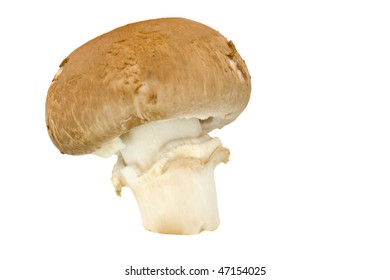 A Chestnut Mushroom, Isolated On A White Background