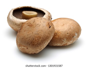 Chestnut Mushrooms Isolated On White Background