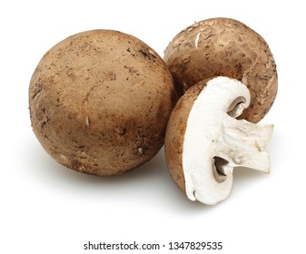 Chestnut Mushrooms Isolated On White Background