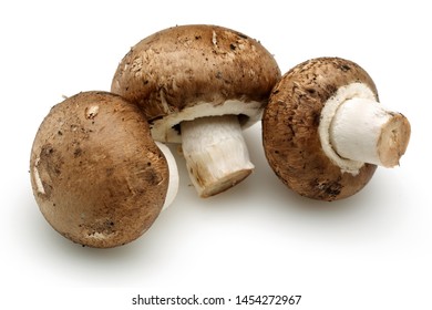 Chestnut Mushrooms Isolated On White Background