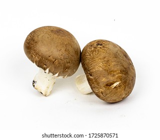 Chestnut Mushrooms Isolated On White Background