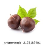 Chestnut nuts with leaves on white backgrounds