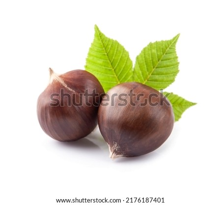 Chestnut nuts with leaves on white backgrounds