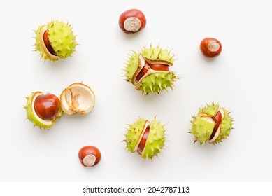 Chestnuts fruits on a white background. Ripe chestnuts. Cracked chestnuts. 