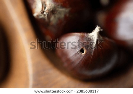 Chestnuts handpicked from the forest in a wooden bowl. One bad chestnut with a small hole done by an insect or worm, making the nut moldy an unsafe and unpleasant to eat. Autumn scenery, brown colours