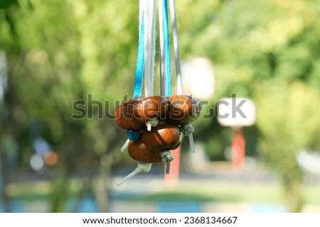 Chestnuts hanging on strings. A large bundle for Conkers game. Conkers is a traditional children game played using seeds of horse chestnut trees. Autumn entertainment.