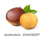 Chestnuts with peeled isolated on white background. Clipping path.