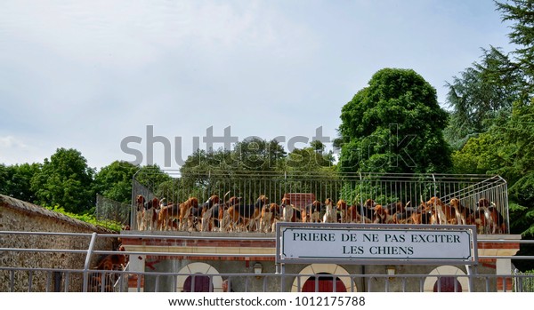 Cheverny Loire Valley France 26 June Stock Photo Edit Now