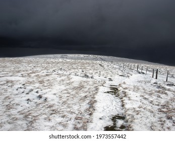 The Cheviot In The Snow, March 2008, Northumberland, UK