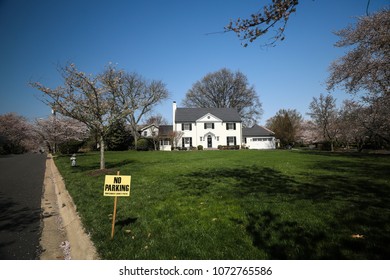 Chevy Chase, MD - April 14, 2018: The Yoshino Cherry Blossoms Bloom In The Kenwood Neighborhood In The Outskirts Of Washington, D.C.