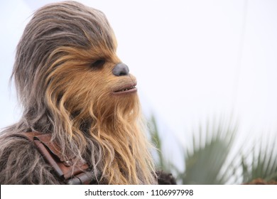 Chewbacca Attends Photocall Solo Star Wars Stock Photo 1106997998 ...