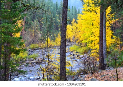 Chewuch River In Fall Colors In Okanogan County, WA 