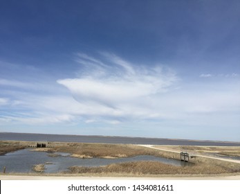 Cheyenne Bottoms Wildlife Area, Kansas