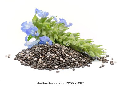 Chia (Salvia hispanica) Pile of seeds with flowers on white background